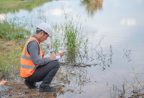Wetlands Assessment