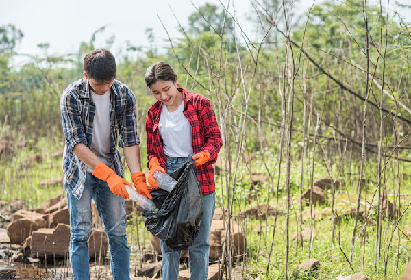Environmental Fieldwork